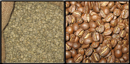 Guatemala
 Beans